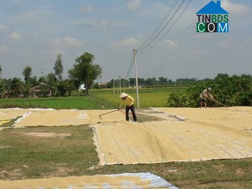 Hình ảnh Trảng Bàng, Tây Ninh