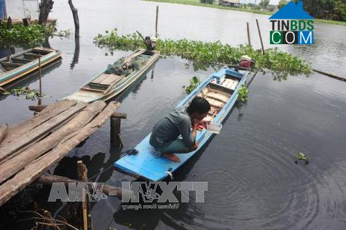 Hình ảnh Ninh Điền, Tây Ninh