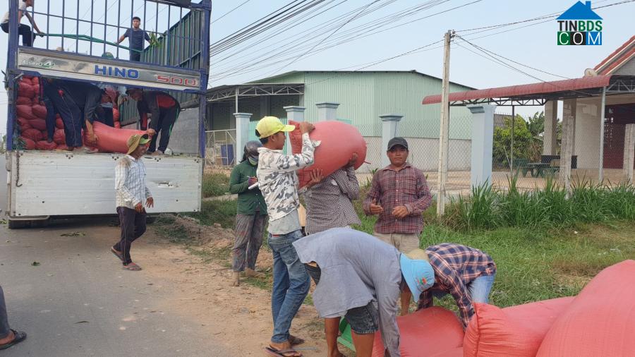 Hình ảnh Phước Chỉ, Tây Ninh