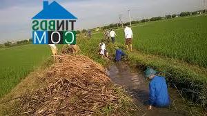 Hình ảnh Hưng Điền, Tây Ninh