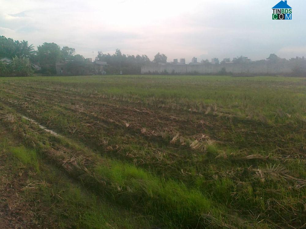 Hình ảnh Long Chữ, Tây Ninh