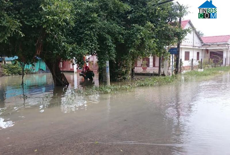 Hình ảnh Long Hoa, Tây Ninh