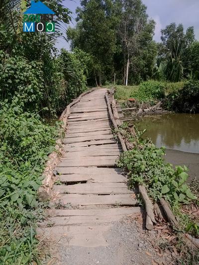 Hình ảnh Lương Hòa, Tây Ninh