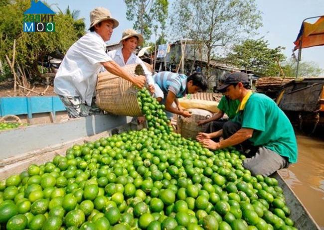 Hình ảnh Mỹ An, Tây Ninh