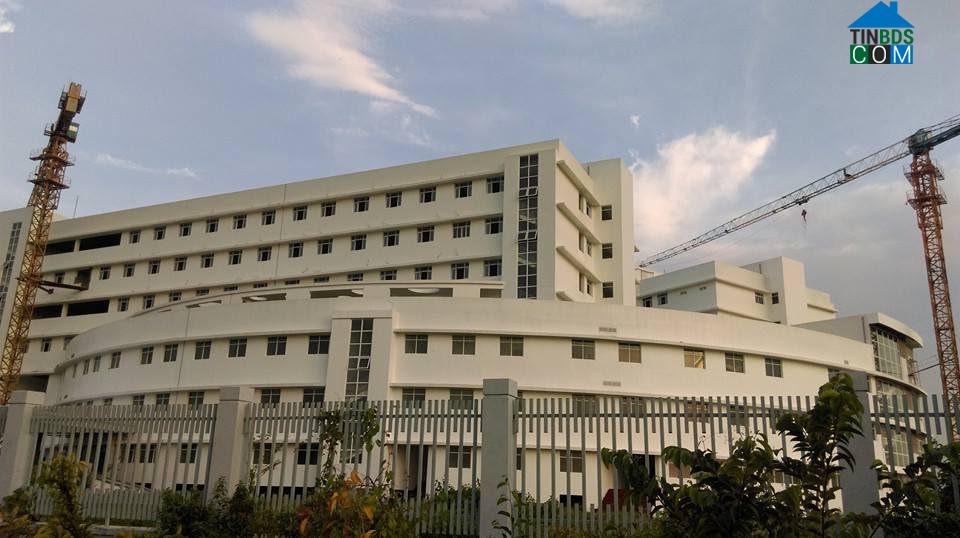 Hình ảnh Tân An, Tây Ninh