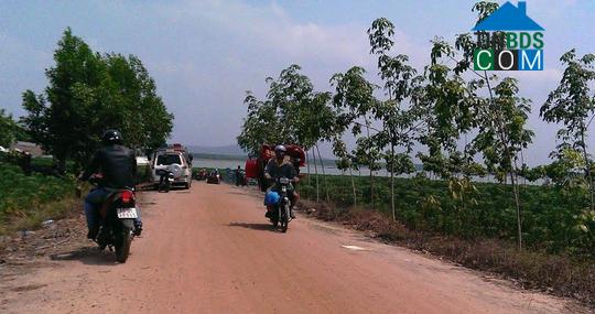 Hình ảnh Tân Hòa, Tây Ninh