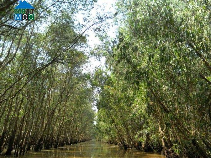 Hình ảnh Tân Long, Tây Ninh