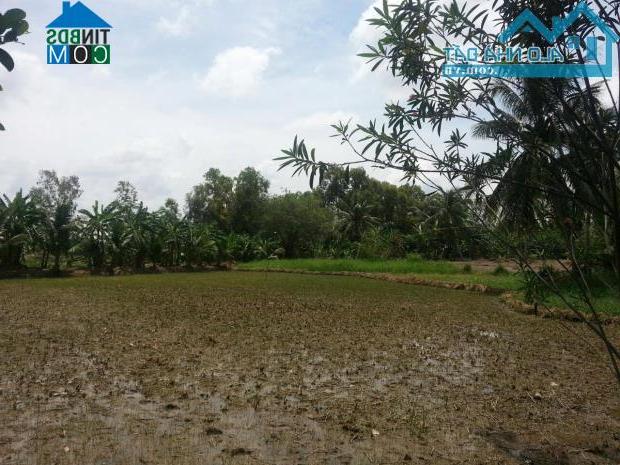 Hình ảnh Tân Trụ, Tây Ninh