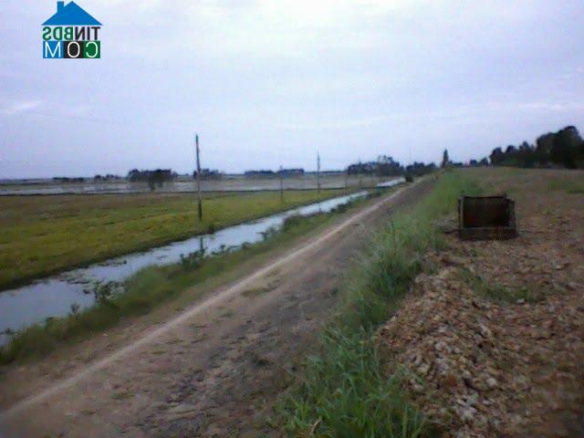 Hình ảnh Thạnh Phước, Tây Ninh