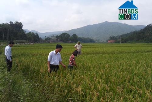 Hình ảnh Lam Vỹ, Thái Nguyên