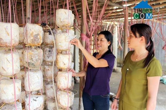 Hình ảnh Bình Yên, Thái Nguyên