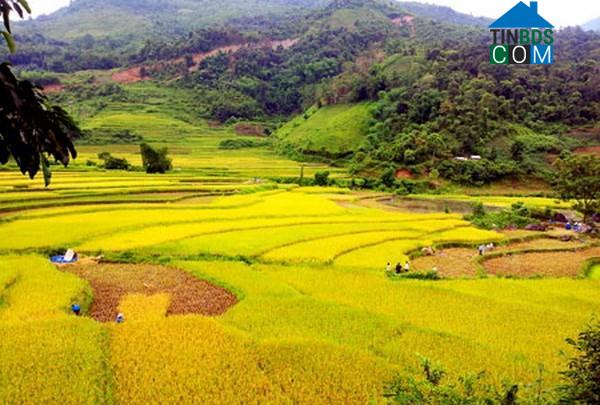 Hình ảnh Cao Minh, Thái Nguyên