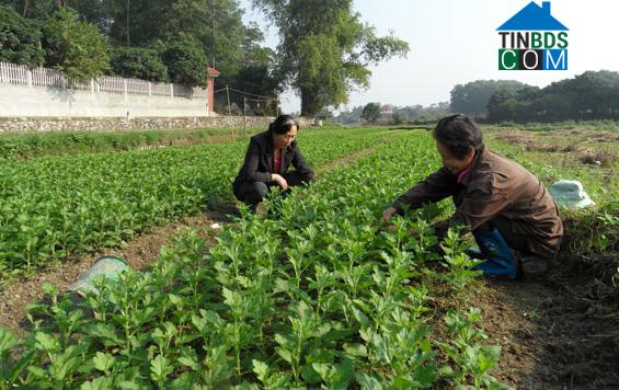 Hình ảnh Đồng Hỷ, Thái Nguyên