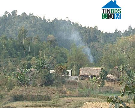 Hình ảnh Nghĩa Tá, Thái Nguyên