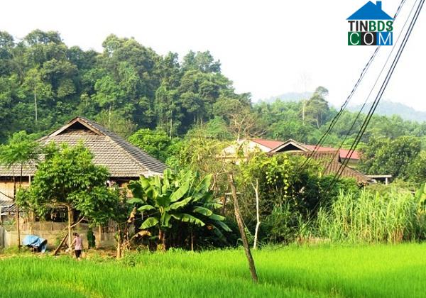 Hình ảnh Nghinh Tường, Thái Nguyên