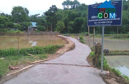 Hình ảnh Phong Quang, Thái Nguyên