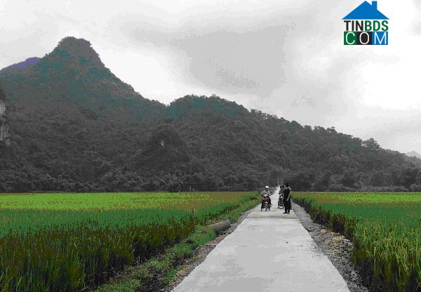 Hình ảnh Phượng Tiến, Thái Nguyên