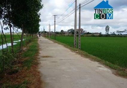 Hình ảnh Triệu Lộc, Thanh Hóa