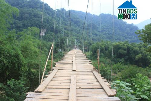 Hình ảnh Trung Hạ, Thanh Hóa