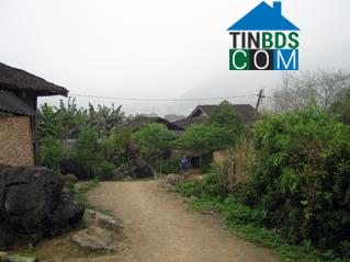 Hình ảnh Trần Phú, Thái Nguyên