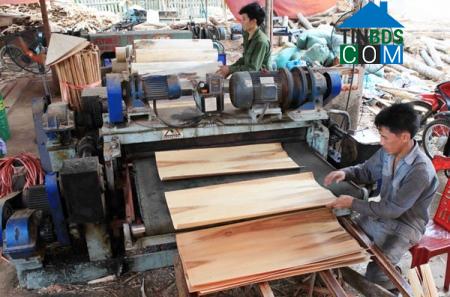 Hình ảnh Trung Hội, Thái Nguyên