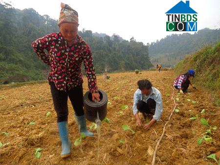 Hình ảnh Vĩnh Thông, Thái Nguyên