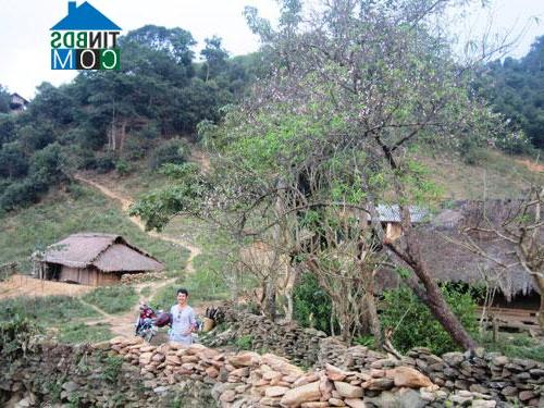 Hình ảnh Mường Lý, Thanh Hóa