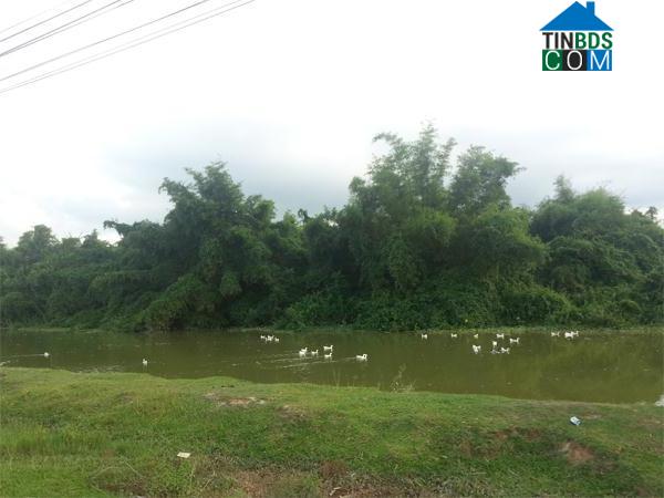 Hình ảnh An Nông, Thanh Hóa