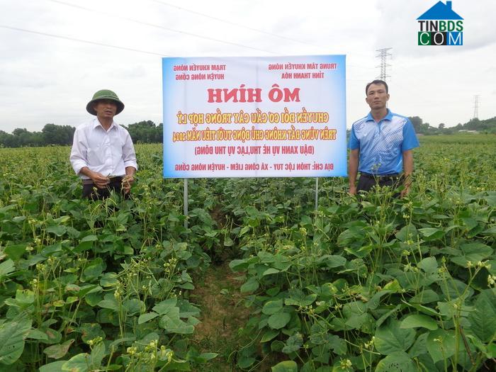 Hình ảnh Công Chính, Thanh Hóa