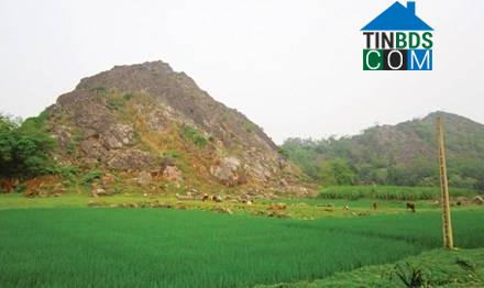 Hình ảnh Điền Quang, Thanh Hóa