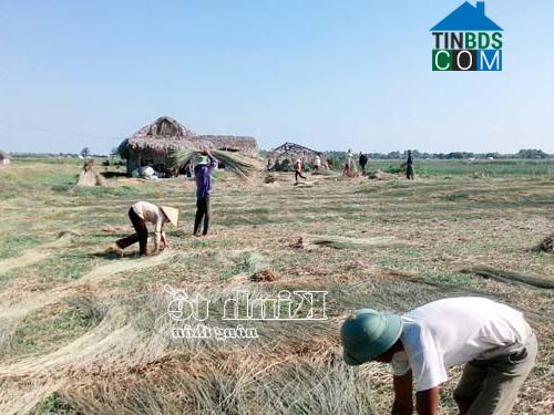 Hình ảnh Trường Văn, Thanh Hóa