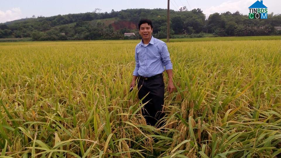 Hình ảnh Vân Du, Thanh Hóa