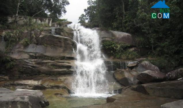 Hình ảnh Xuân Chinh, Thanh Hóa