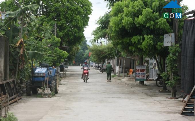 Hình ảnh Xuân Lập, Thanh Hóa