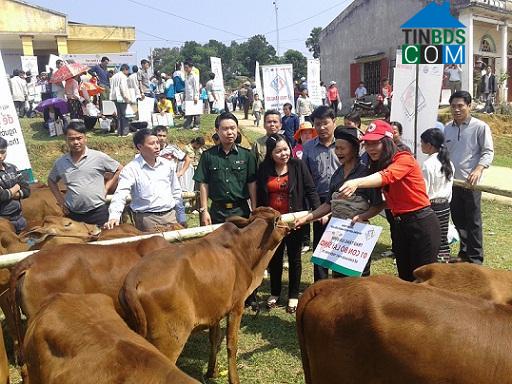 Hình ảnh Yên Khương, Thanh Hóa