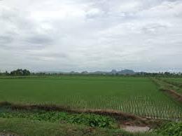 Hình ảnh Yên Ninh, Thanh Hóa