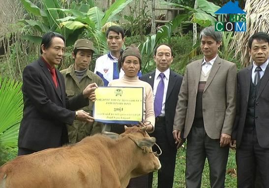 Hình ảnh Yên Thắng, Thanh Hóa