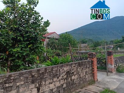 Hình ảnh Các Sơn, Thanh Hóa