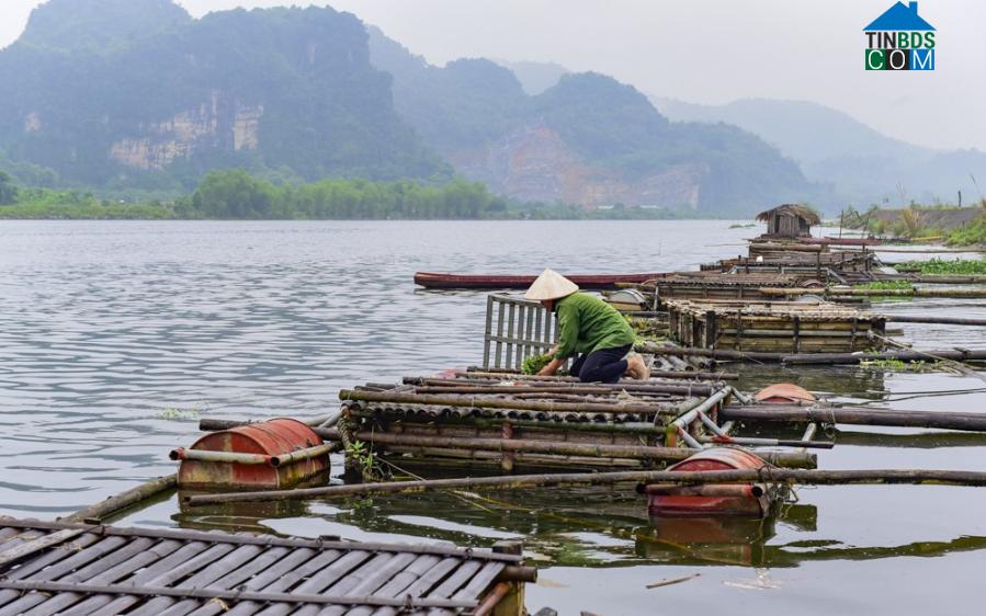Hình ảnh Cẩm Thủy, Thanh Hóa
