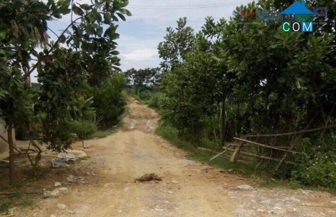 Hình ảnh Luận Thành, Thanh Hóa