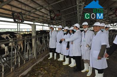 Hình ảnh Mậu Lâm, Thanh Hóa