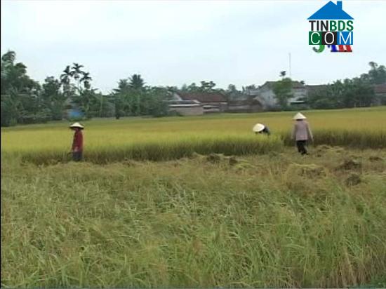 Hình ảnh Đồng Tiến, Thanh Hóa