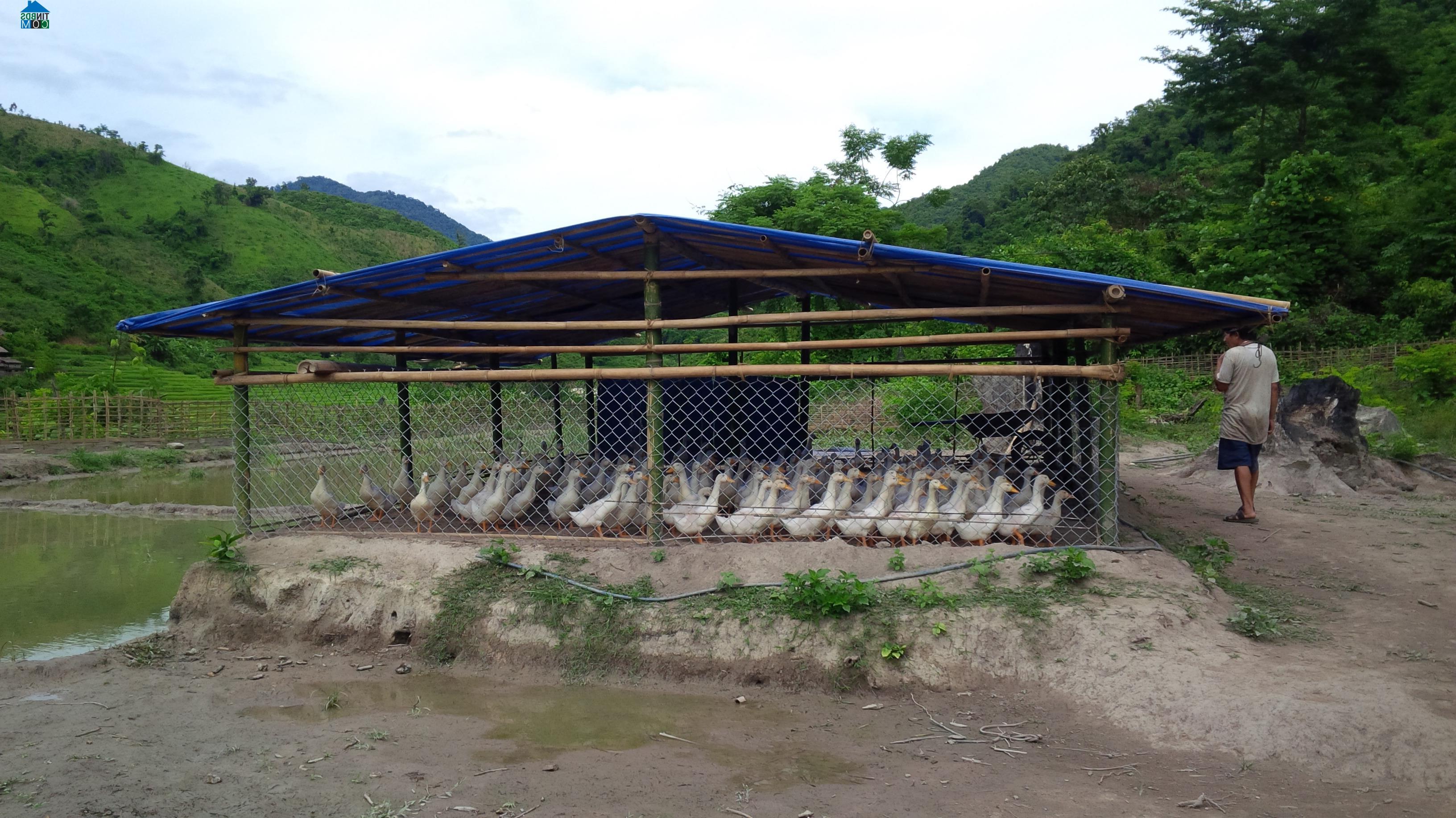 Hình ảnh Mường Chanh, Thanh Hóa