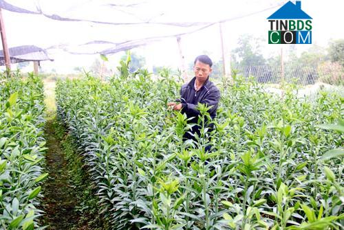 Hình ảnh Hợp Tiến, Thanh Hóa