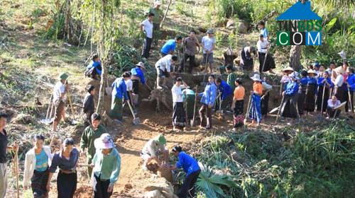 Hình ảnh Tam Thanh, Thanh Hóa