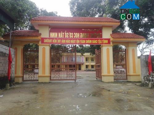 Hình ảnh Tân Ninh, Thanh Hóa