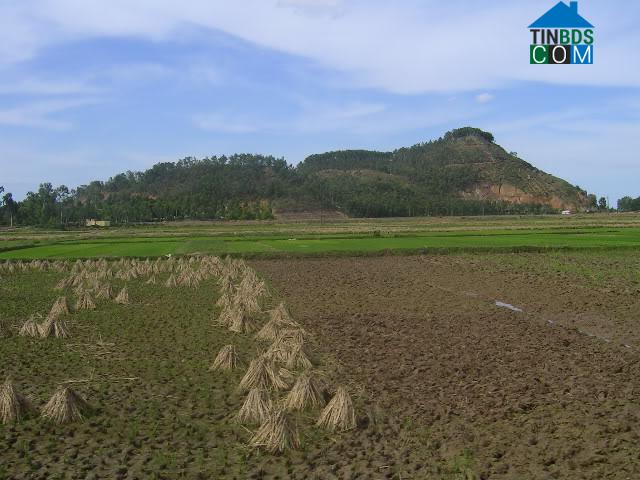 Hình ảnh Nga Thắng, Thanh Hóa