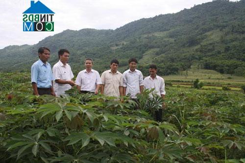 Hình ảnh Ngọc Lặc, Thanh Hóa