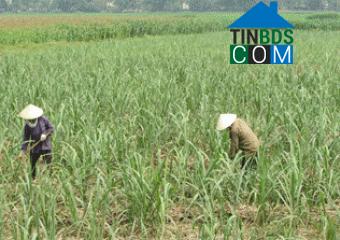 Hình ảnh Ngọc Trạo, Thanh Hóa