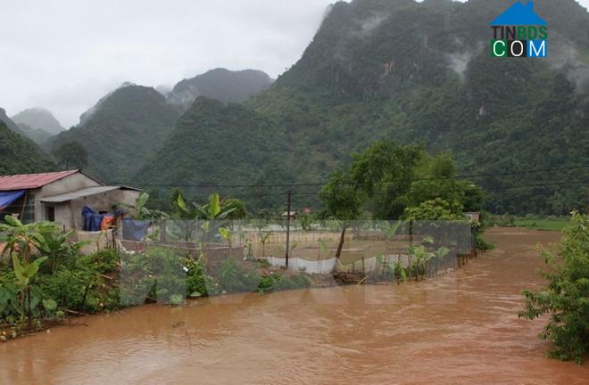 Hình ảnh Phú Xuân, Thanh Hóa
